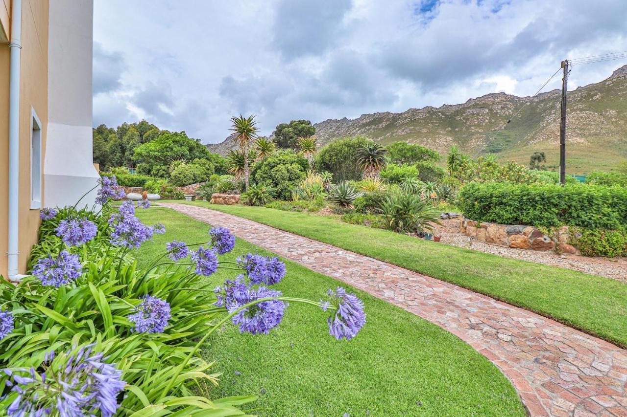 Apricot Gardens Guesthouse Gordons Bay Ngoại thất bức ảnh